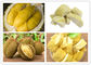 Precise Control Durian Hot Air Dryer Machine High Valued Products Drying Oven