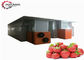 12KW Hot Air Dryer Machine Drying Strawberry Equipment