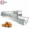 40kw 40kg/H Microwave Tunnel Dryer Belt Peanut Nuts Curing Drying Machine