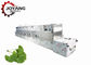 Tunnel Type Ginkgo Leaf Microwave Drying Machine